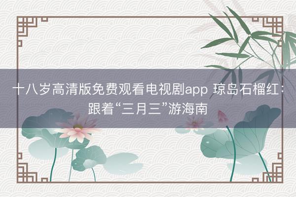 十八岁高清版免费观看电视剧app 琼岛石榴红：跟着“三月三”游海南