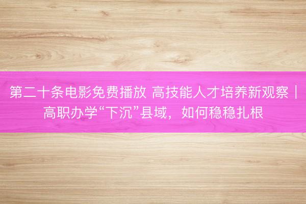 第二十条电影免费播放 高技能人才培养新观察｜高职办学“下沉”县域，如何稳稳扎根