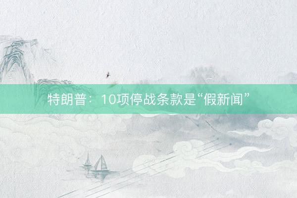 特朗普：10项停战条款是“假新闻”