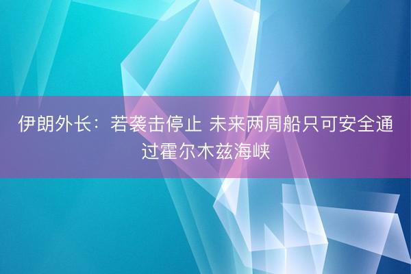 伊朗外长：若袭击停止 未来两周船只可安全通过霍尔木兹海峡