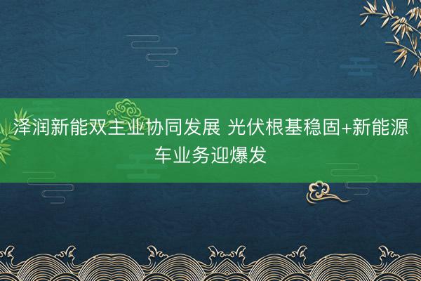 泽润新能双主业协同发展 光伏根基稳固+新能源车业务迎爆发