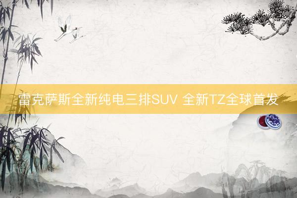 雷克萨斯全新纯电三排SUV 全新TZ全球首发