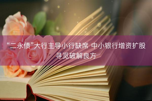 “二永债”大行主导小行缺席 中小银行增资扩股寻觅破解良方