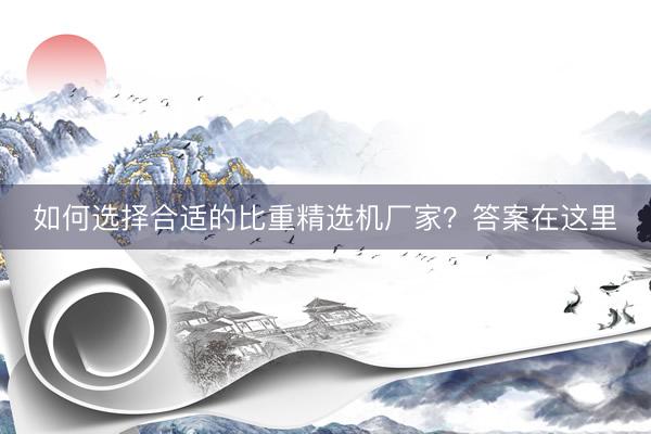 如何选择合适的比重精选机厂家？答案在这里
