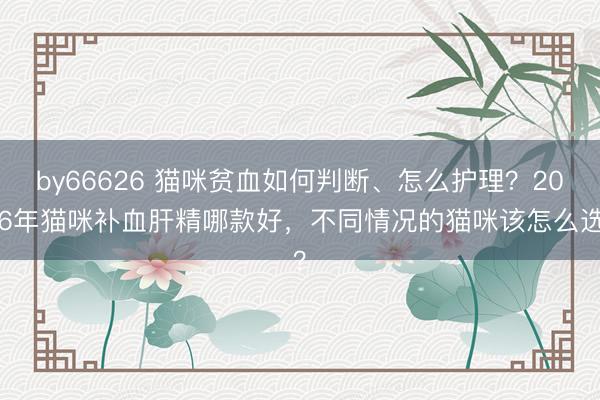 by66626 猫咪贫血如何判断、怎么护理？2026年猫咪补血肝精哪款好，不同情况的猫咪该怎么选？