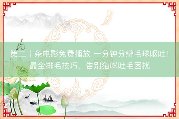 第二十条电影免费播放 一分钟分辨毛球呕吐！最全排毛技巧，告别猫咪吐毛困扰