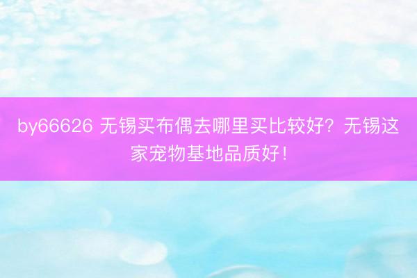 by66626 无锡买布偶去哪里买比较好？无锡这家宠物基地品质好！