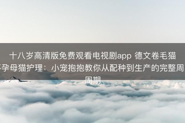 十八岁高清版免费观看电视剧app 德文卷毛猫怀孕母猫护理：小宠抱抱教你从配种到生产的完整周期