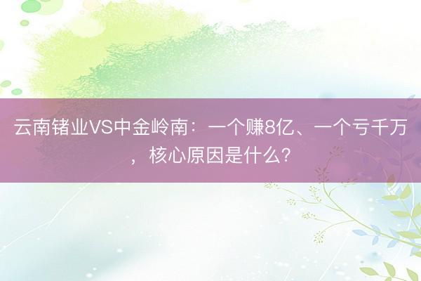 云南锗业VS中金岭南：一个赚8亿、一个亏千万，核心原因是什么？