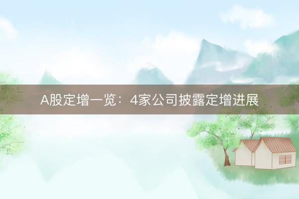 A股定增一览：4家公司披露定增进展