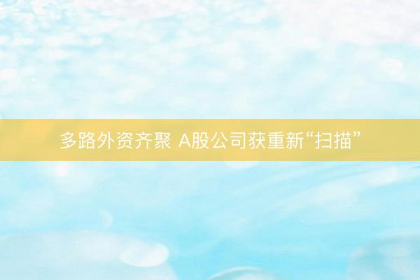 多路外资齐聚 A股公司获重新“扫描”