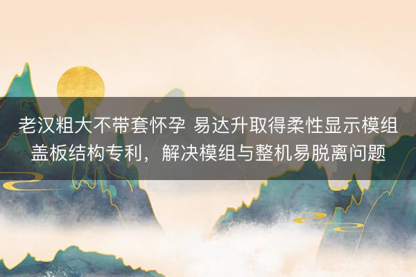 老汉粗大不带套怀孕 易达升取得柔性显示模组盖板结构专利，解决模组与整机易脱离问题
