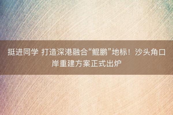 挺进同学 打造深港融合“鲲鹏”地标！沙头角口岸重建方案正式出炉