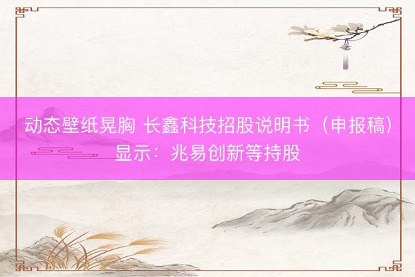 动态壁纸晃胸 长鑫科技招股说明书（申报稿）显示：兆易创新等持股