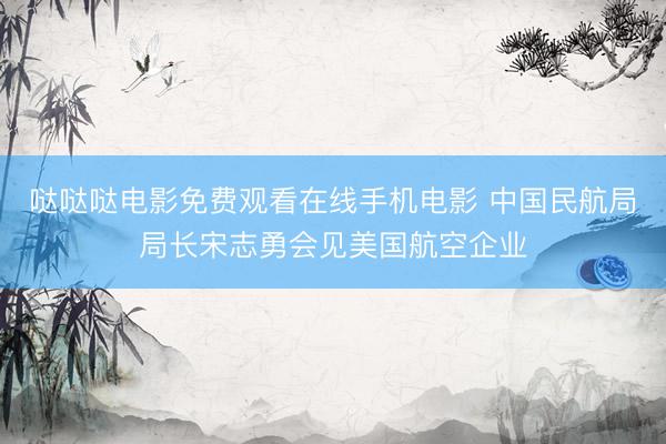 哒哒哒电影免费观看在线手机电影 中国民航局局长宋志勇会见美国航空企业