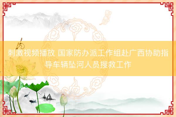 刺激视频播放 国家防办派工作组赴广西协助指导车辆坠河人员搜救工作