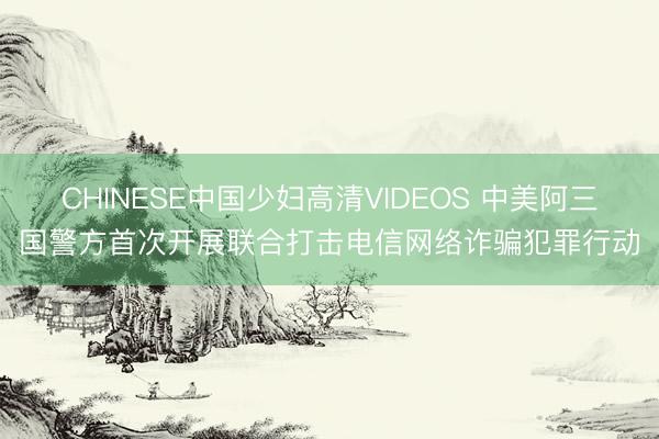 CHINESE中国少妇高清VIDEOS 中美阿三国警方首次开展联合打击电信网络诈骗犯罪行动