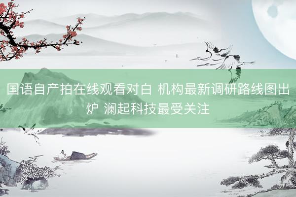 国语自产拍在线观看对白 机构最新调研路线图出炉 澜起科技最受关注