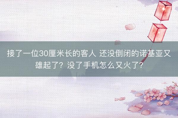 接了一位30厘米长的客人 还没倒闭的诺基亚又雄起了？没了手机怎么又火了？