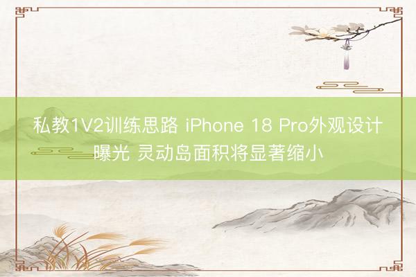 私教1V2训练思路 iPhone 18 Pro外观设计曝光 灵动岛面积将显著缩小