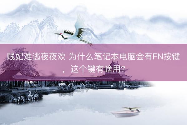 贱妃难逃夜夜欢 为什么笔记本电脑会有FN按键，这个键有啥用？