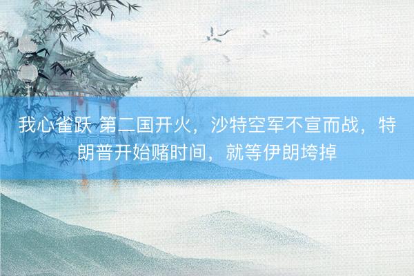 我心雀跃 第二国开火,沙特空军不宣而战,特朗普开始赌时间,就等伊朗垮掉