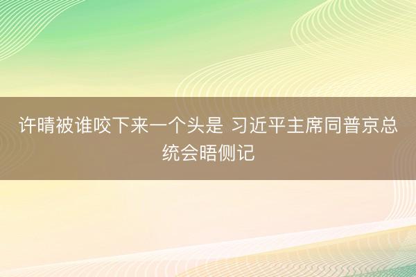 许晴被谁咬下来一个头是 习近平主席同普京总统会晤侧记