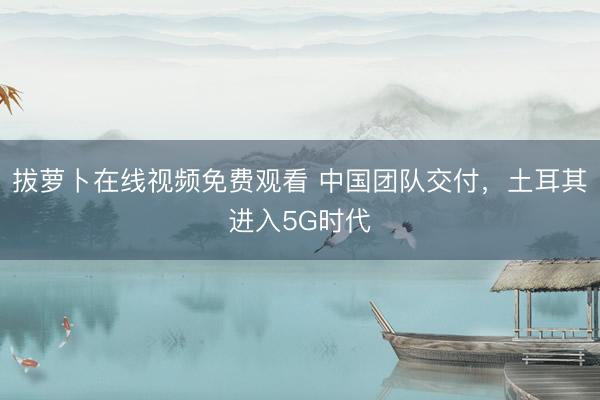 拔萝卜在线视频免费观看 中国团队交付，土耳其进入5G时代