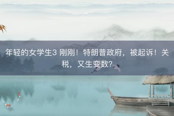 年轻的女学生3 刚刚！特朗普政府，被起诉！关税，又生变数？