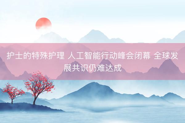 护士的特殊护理 人工智能行动峰会闭幕 全球发展共识仍难达成
