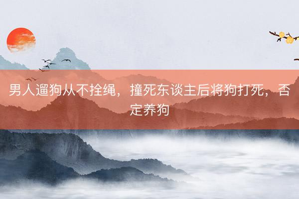 男人遛狗从不拴绳，撞死东谈主后将狗打死，否定养狗