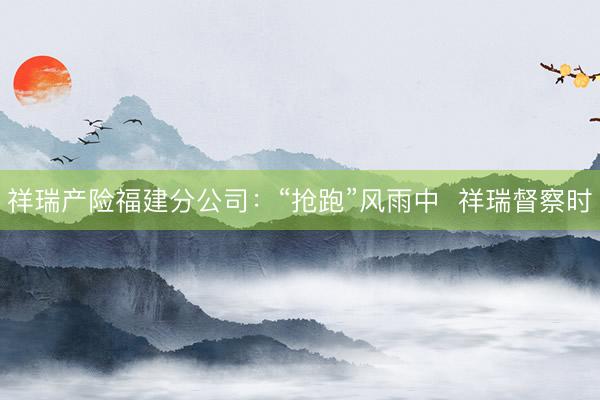 祥瑞产险福建分公司:“抢跑”风雨中 祥瑞督察时
