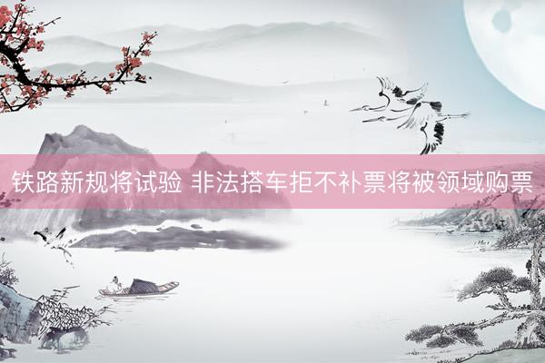 铁路新规将试验 非法搭车拒不补票将被领域购票