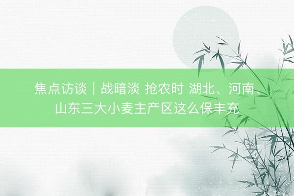 焦点访谈｜战暗淡 抢农时 湖北、河南、山东三大小麦主产区这么保丰充