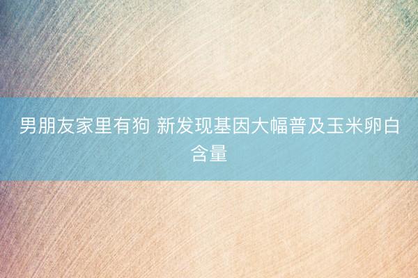 男朋友家里有狗 新发现基因大幅普及玉米卵白含量