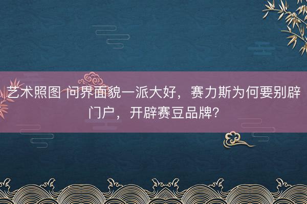 艺术照图 问界面貌一派大好，赛力斯为何要别辟门户，开辟赛豆品牌？