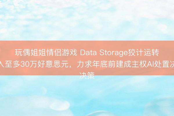 玩偶姐姐情侣游戏 Data Storage狡计运转进入至多30万好意思元，力求年底前建成主权AI处置决策