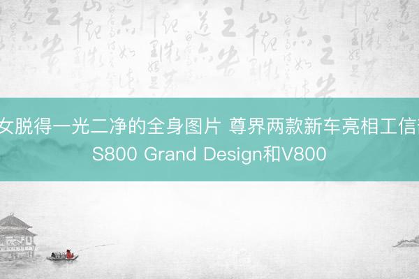 美女脱得一光二净的全身图片 尊界两款新车亮相工信部：S800 Grand Design和V800