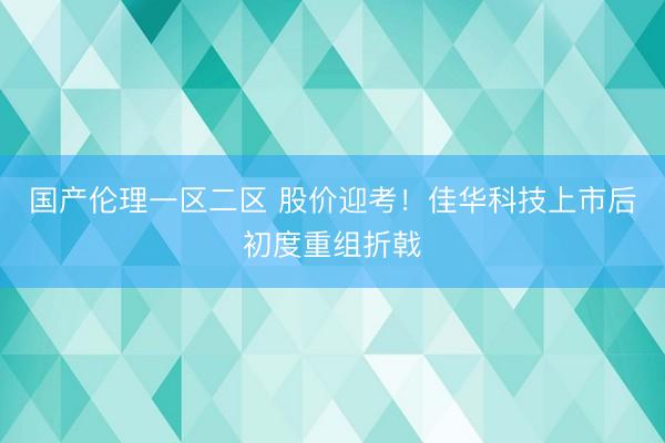 国产伦理一区二区 股价迎考!佳华科技上市后初度重组折戟