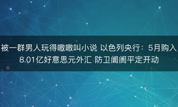 被一群男人玩得嗷嗷叫小说 以色列央行：5月购入8.01亿好意思元外汇 防卫阛阓平定开动