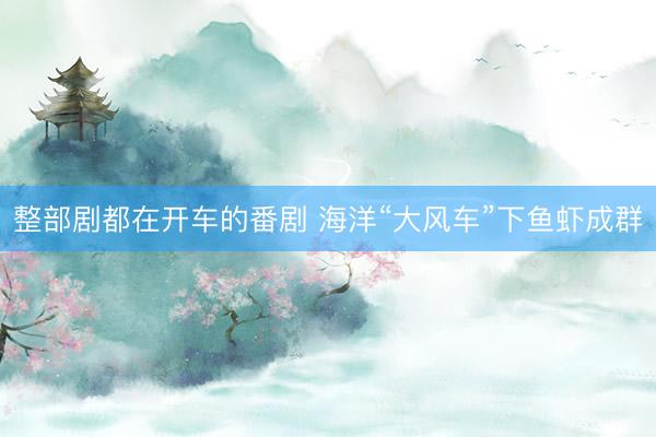 整部剧都在开车的番剧 海洋“大风车”下鱼虾成群