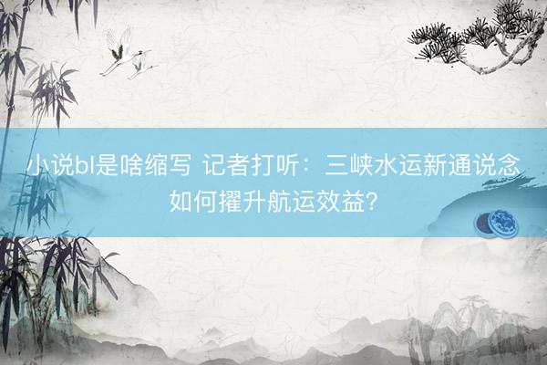 小说bl是啥缩写 记者打听:三峡水运新通说念如何擢升航运效益?
