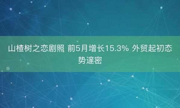 山楂树之恋剧照 前5月增长15.3% 外贸起初态势邃密