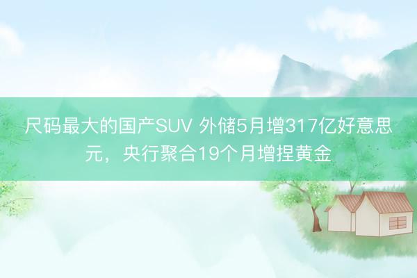 尺码最大的国产SUV 外储5月增317亿好意思元，央行聚合19个月增捏黄金