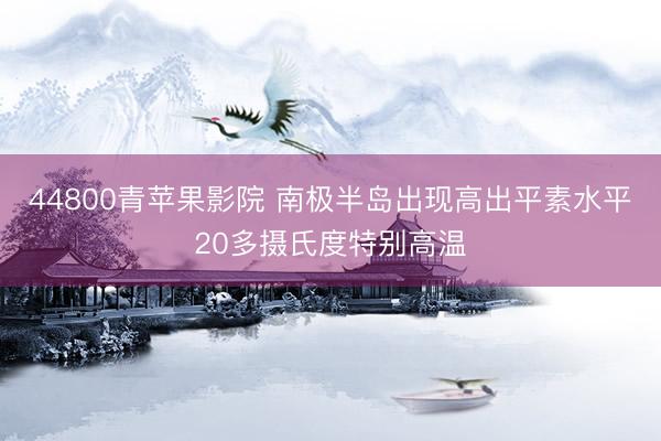44800青苹果影院 南极半岛出现高出平素水平20多摄氏度特别高温