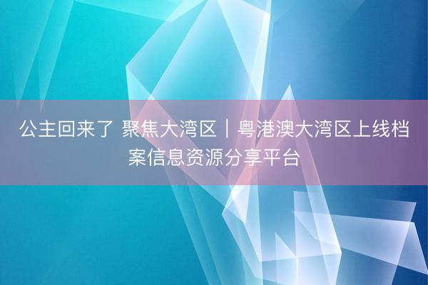公主回来了 聚焦大湾区｜粤港澳大湾区上线档案信息资源分享平台