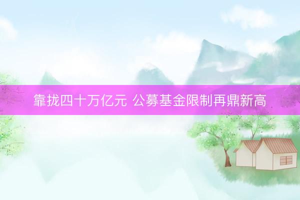 靠拢四十万亿元 公募基金限制再鼎新高