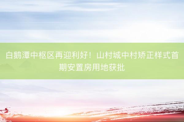 白鹅潭中枢区再迎利好！山村城中村矫正样式首期安置房用地获批